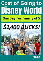 Before even embarking on the money-hemorrhaging adventure, the dad reportedly shelled out $30 for all-day parking at the attraction, which is located 20 minutes southwest of Orlando by car. The total cost of tickets for the quintet, including a child under 10, clocked in at an eye-popping $974 — approximately the cost of a round-trip flight from New York to Rome.